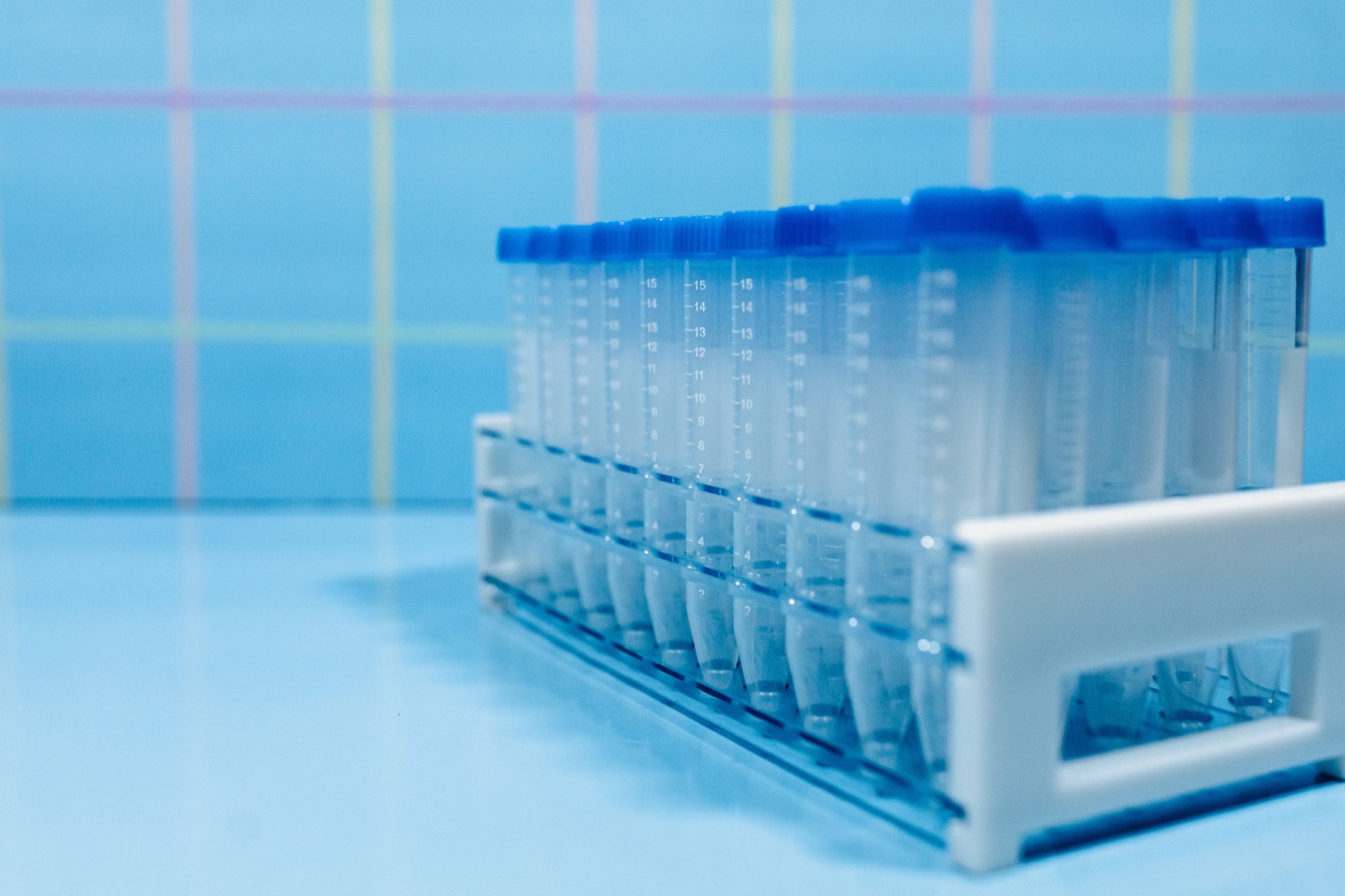 Laborprobenröhrchen mit blauen Deckeln in einem Gestell; Stockfoto.