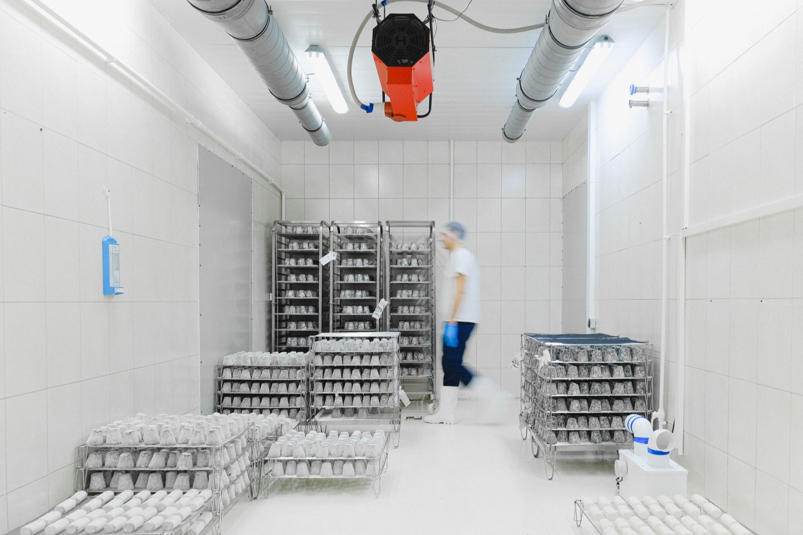 Salle de stockage alimentaire avec des rayonnages et une personne floue en mouvement ; photographie de banque d’images.